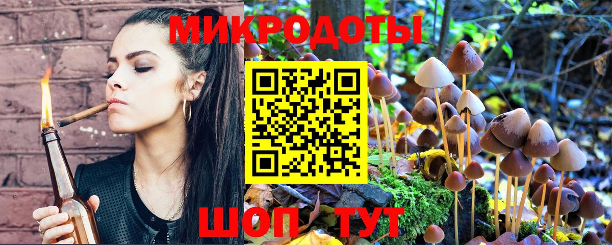 Псилоцибиновые грибы GOLDEN TEACHER Луга